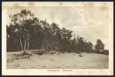 17076 Gezicht op de heide (zandverstuiving) in de omgeving van Bilthoven (gemeente De Bilt).